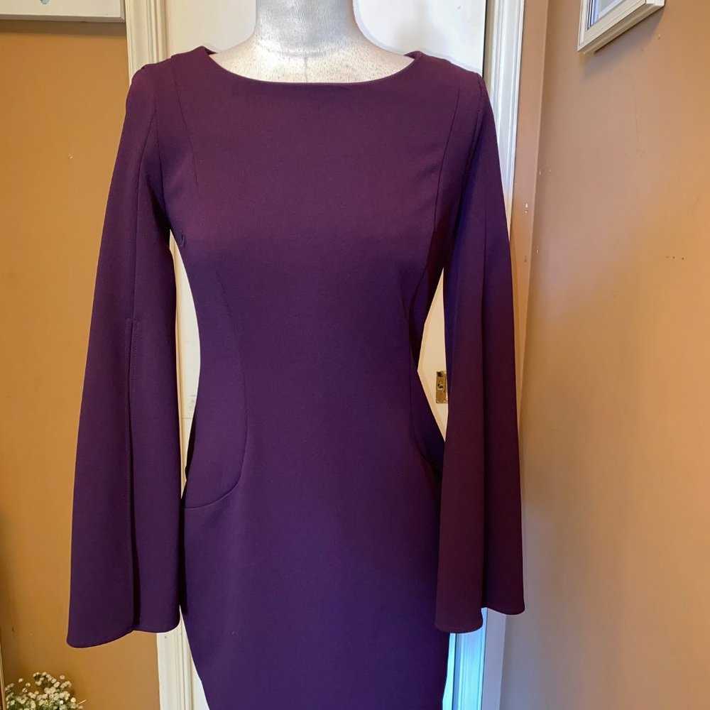 Plum CK Dress